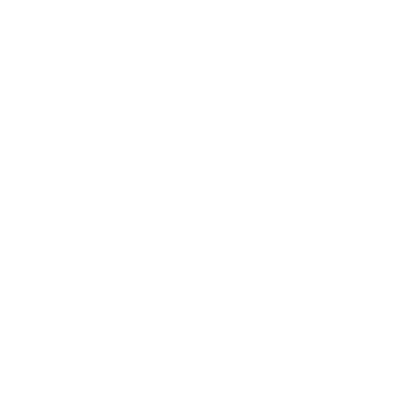 Alma Detailing